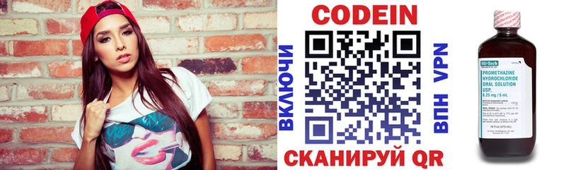 Codein напиток Lean (лин)  купить наркотики сайты  Елизово 