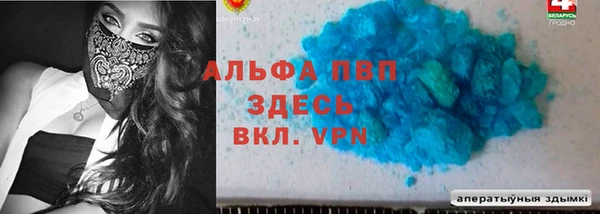 бошки Дмитриев