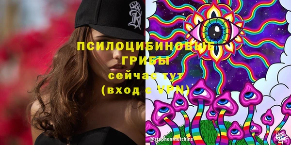синтетический гашиш Дмитровск
