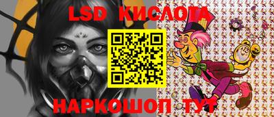 крисы Бийск