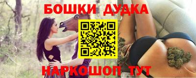 крисы Бийск