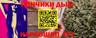 крисы Бийск