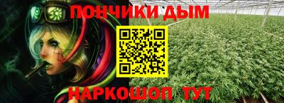 крисы Бийск