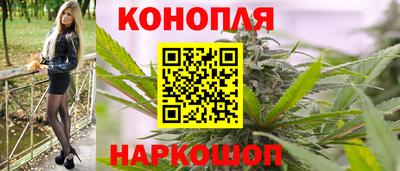 крисы Бийск