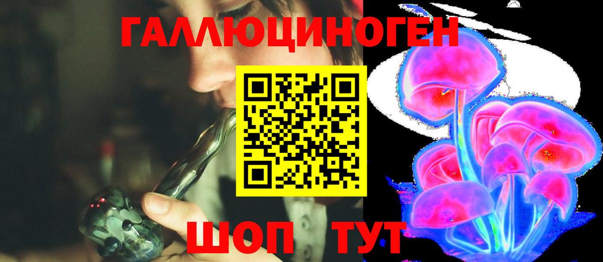 Псилоцибиновые грибы Magic Shrooms  Вход с VPN  Елизово 