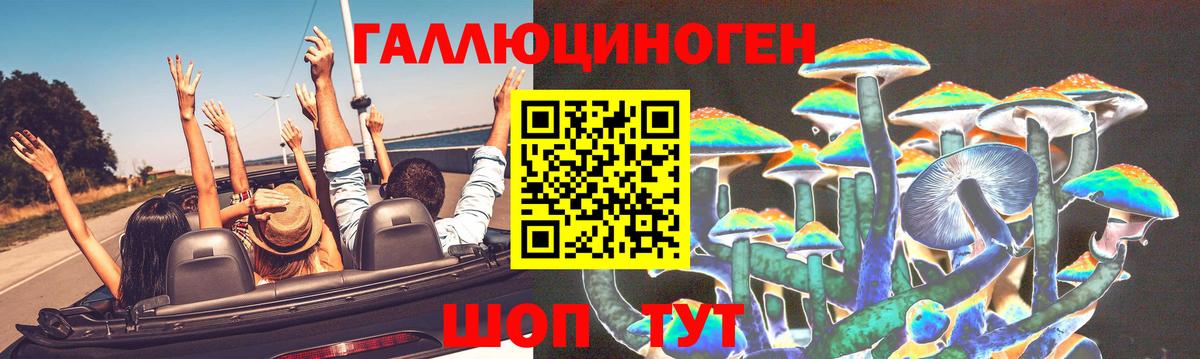 Галлюциногенные грибы мицелий  Елизово  Галлюциногенные грибы мицелий 