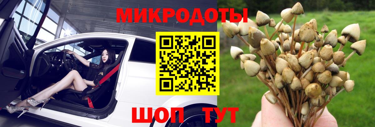 Псилоцибиновые грибы Magic Shrooms Елизово